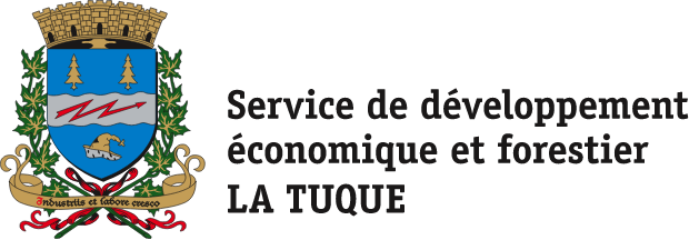 SDÉF La Tuque - logo